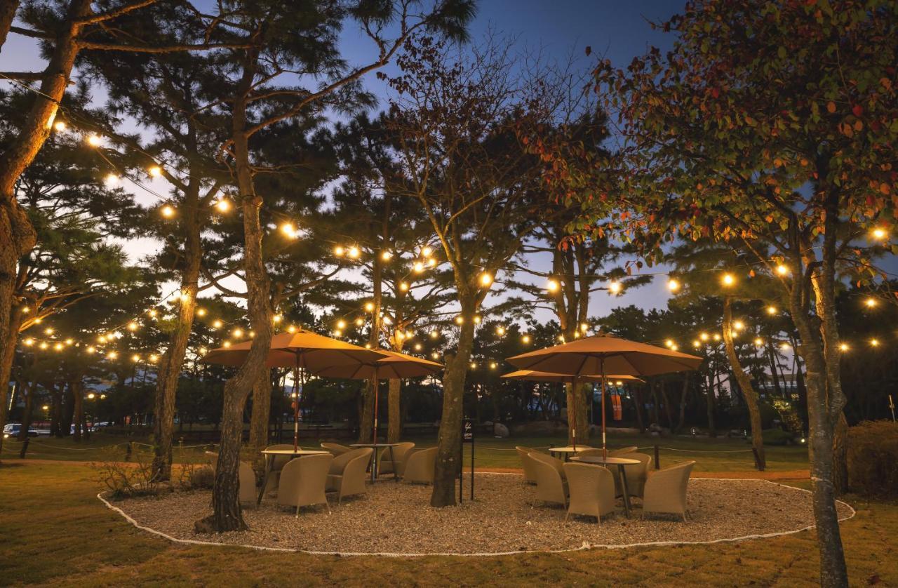 Kensington Resort Seorak Beach Sokcho Eksteriør bilde